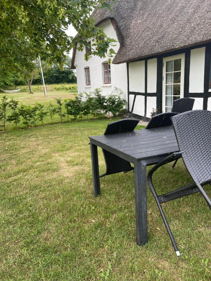 אודנזה Baekgaarden 3 Rooms Apartment - Old Farm House מראה חיצוני תמונה