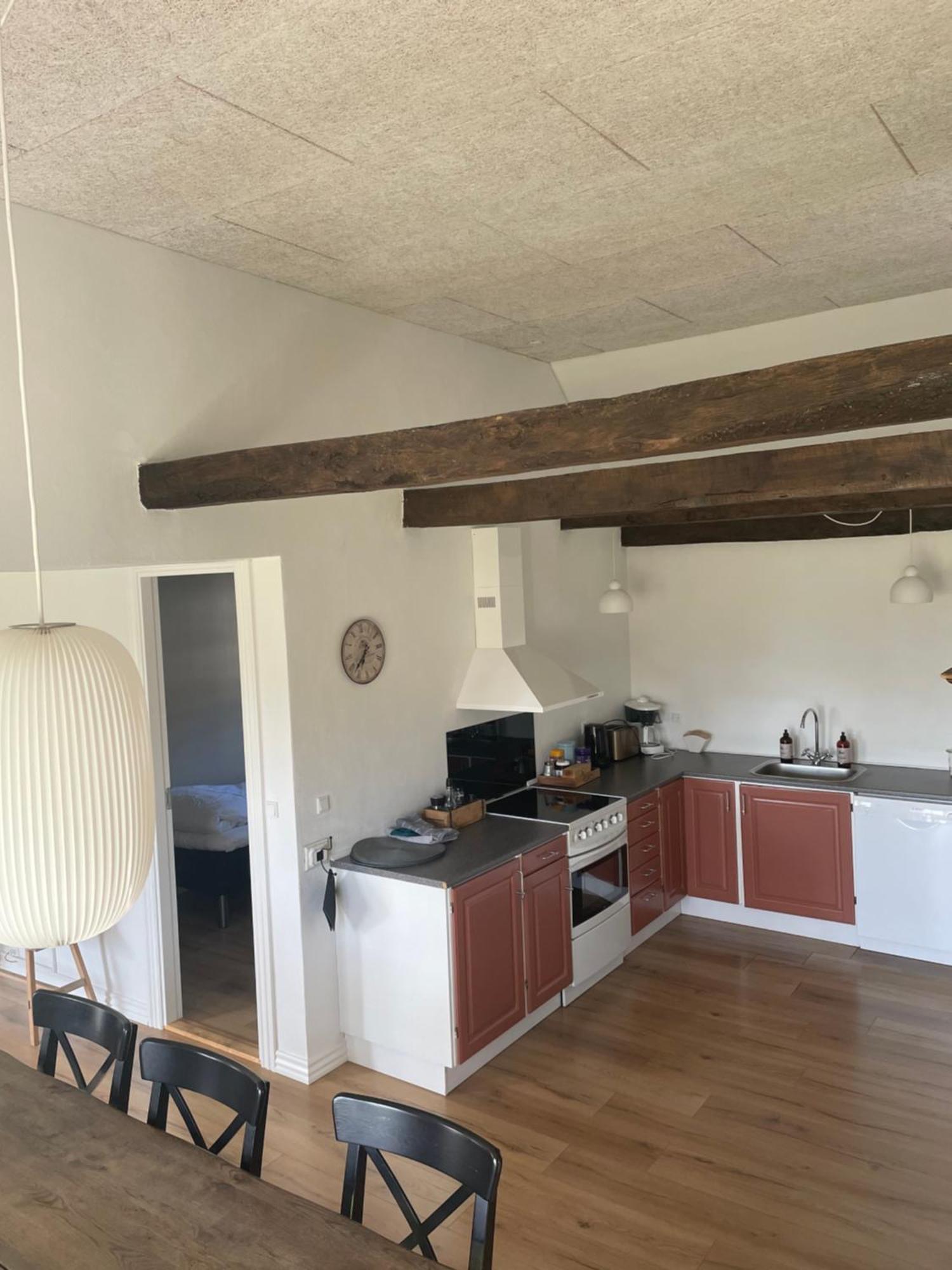 אודנזה Baekgaarden 3 Rooms Apartment - Old Farm House מראה חיצוני תמונה